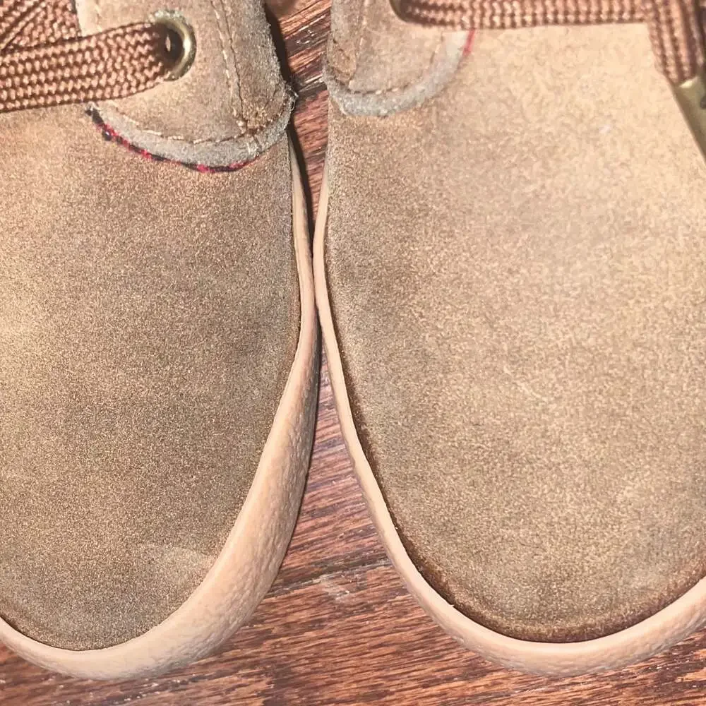 Polo Ralph‎ Lauren Faxon Low Top Canvas Olive Green Sneakers